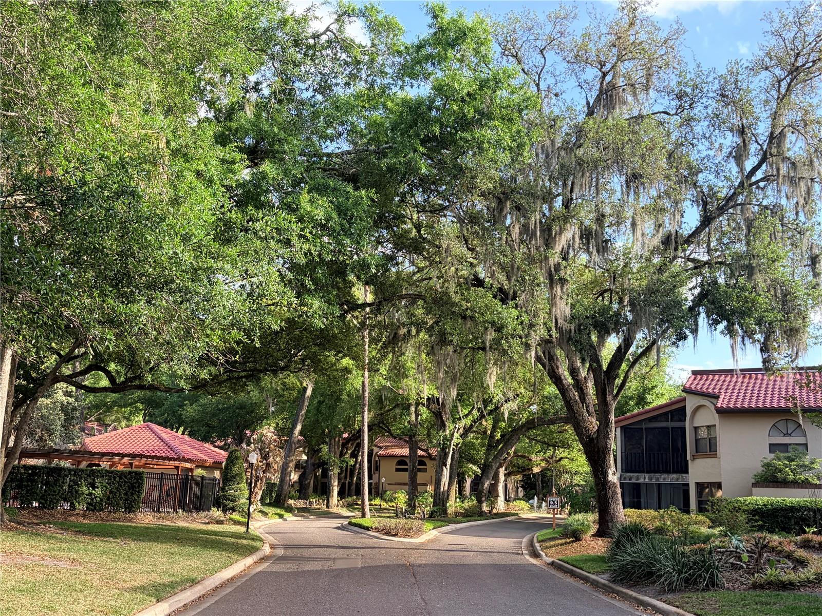 LAKE PINELOCH VILLAGE CONDO 02 - Residential