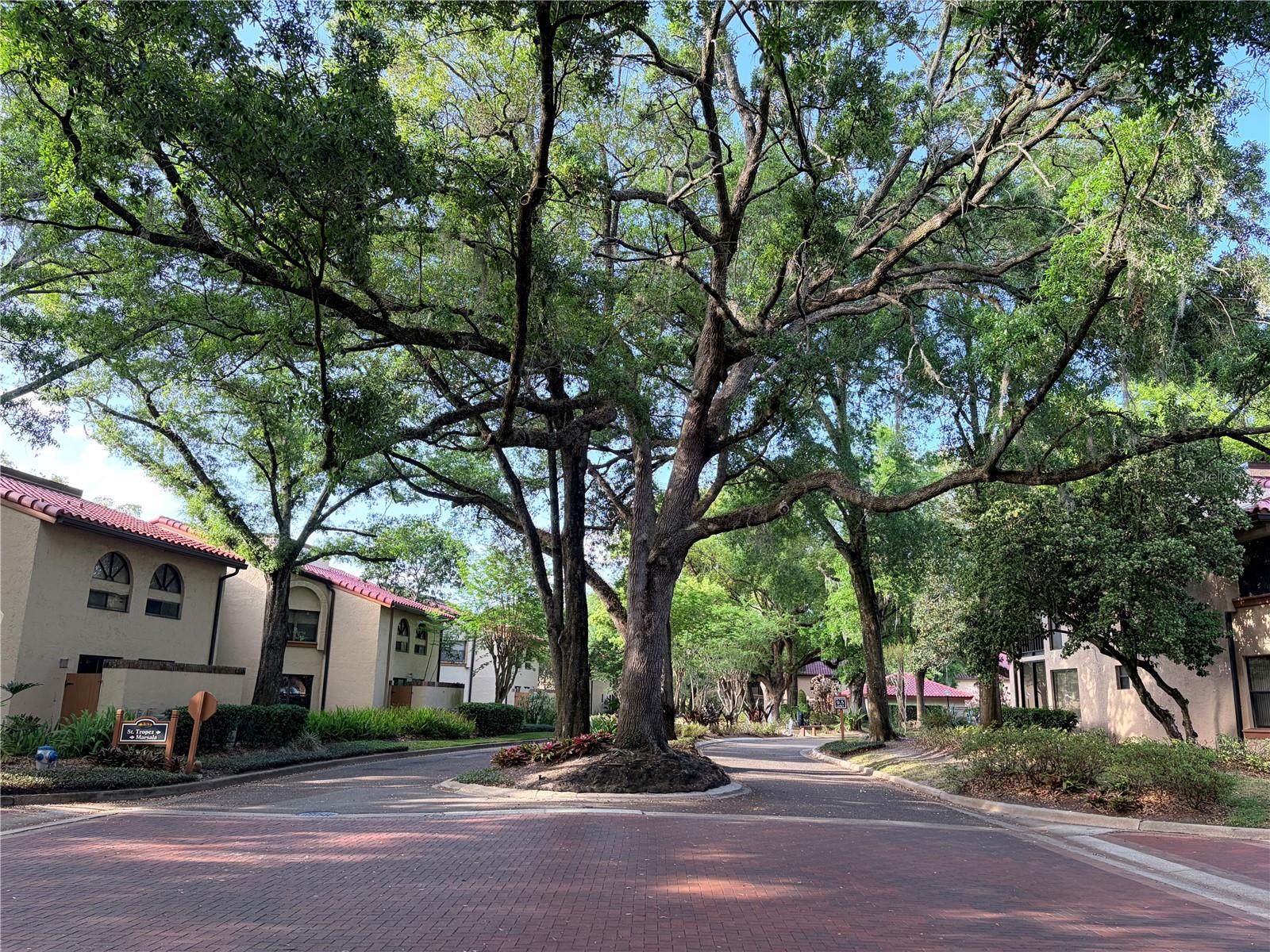 LAKE PINELOCH VILLAGE CONDO 02 - Residential