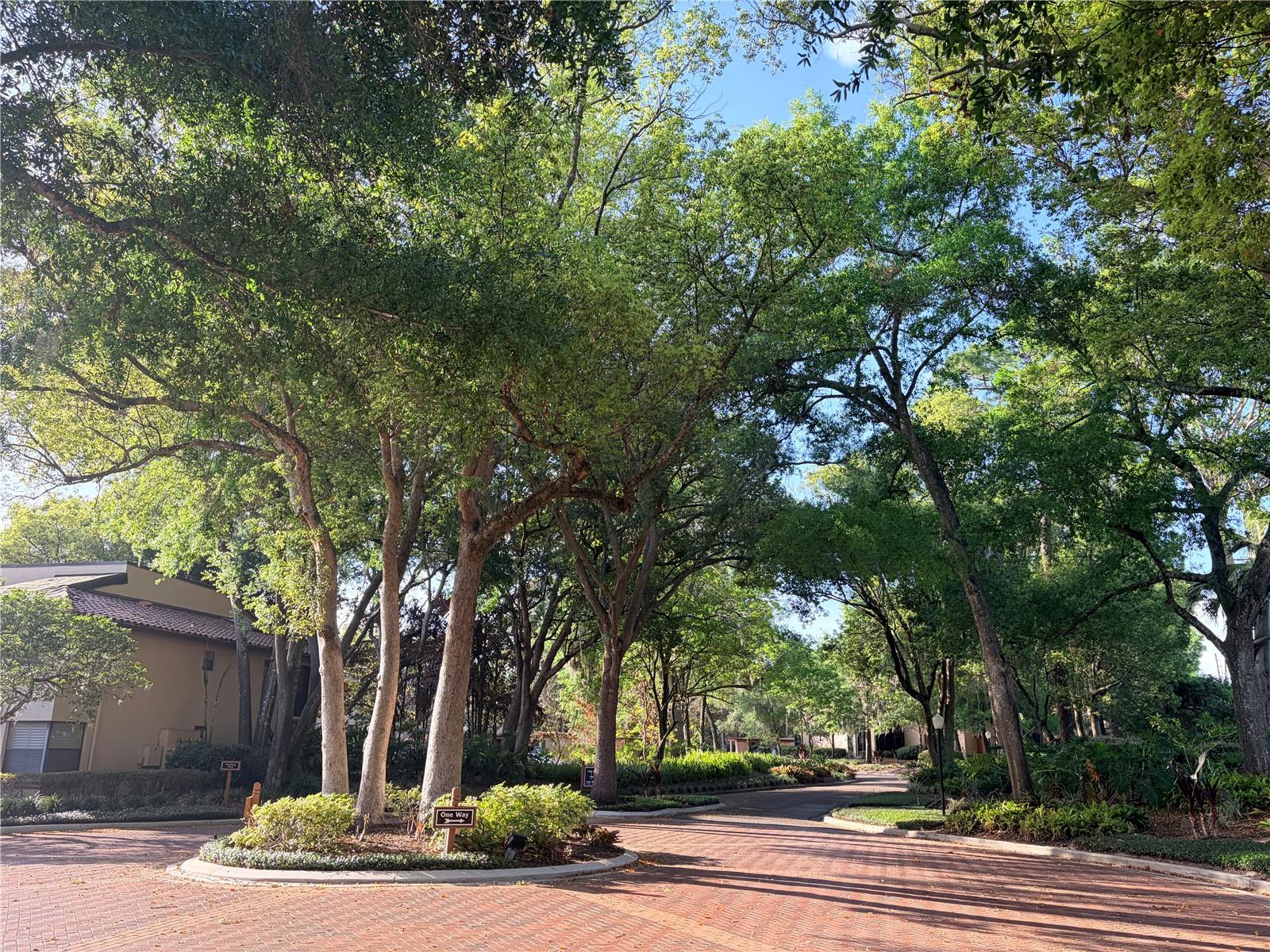 LAKE PINELOCH VILLAGE CONDO 02 - Residential