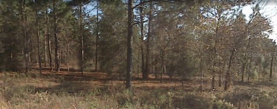 Build your dream home on this beautiful wooded lot. Enjoy the serene country views while being only a few minutes from town. 16 minutes to Dunnellon & Ocala, where you can enjoy shopping & dinning. The Rainbow River & World Equestrian Center are nearby attractions. Sellers are motivated.