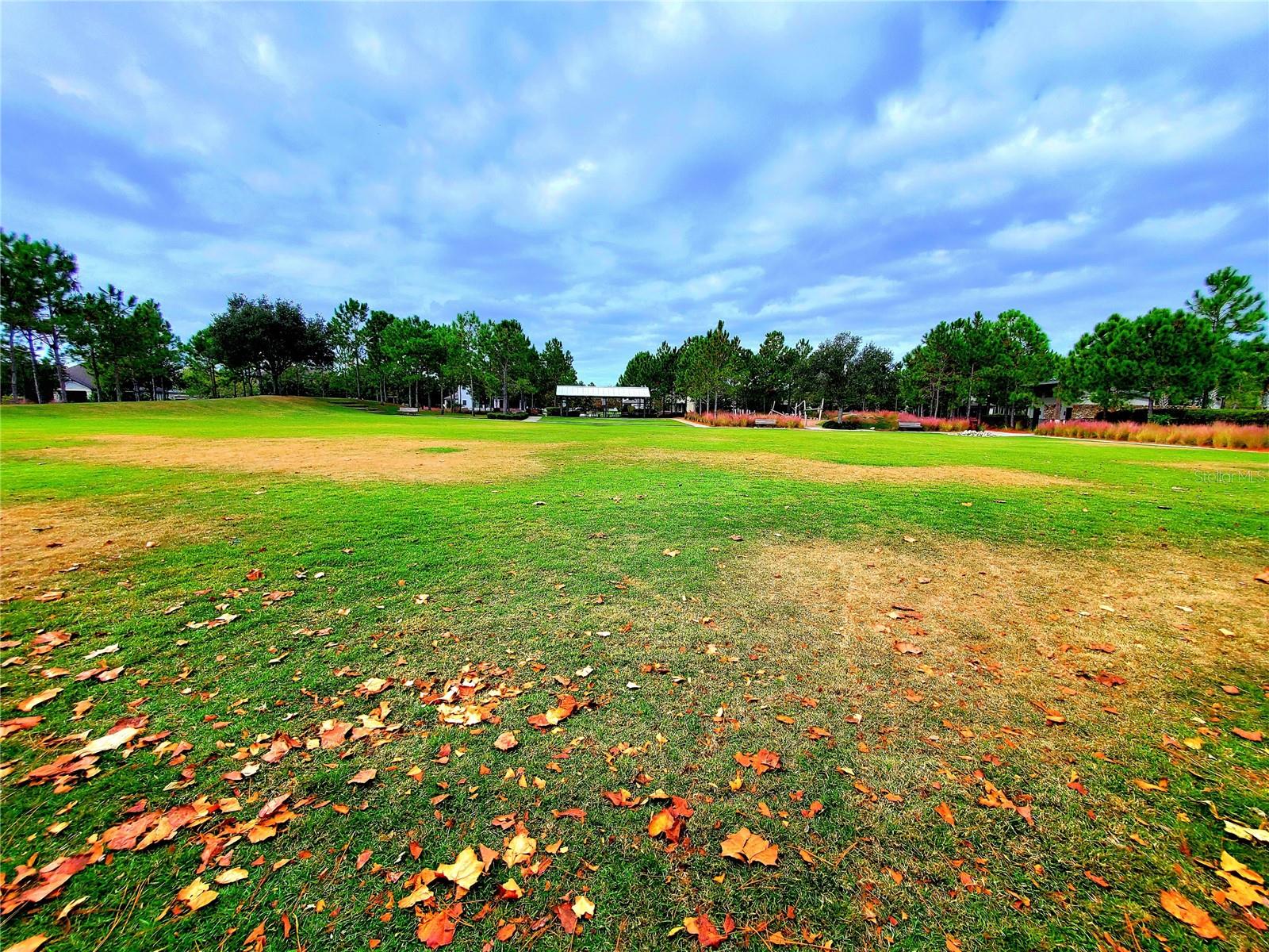 STARKEY RANCH VILLAGE 1 PH 3 - Residential