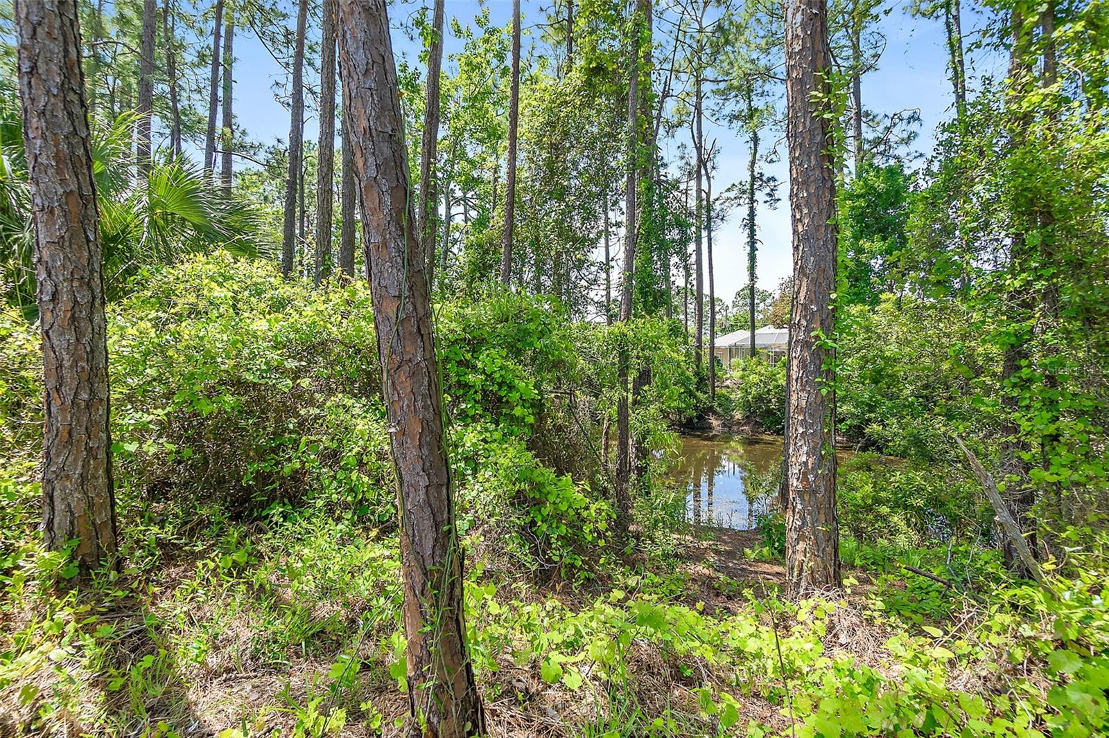 PALM COAST SEC 33 - Residential