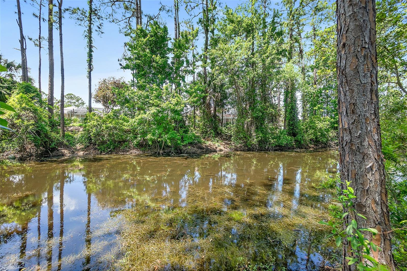 PALM COAST SEC 33 - Residential