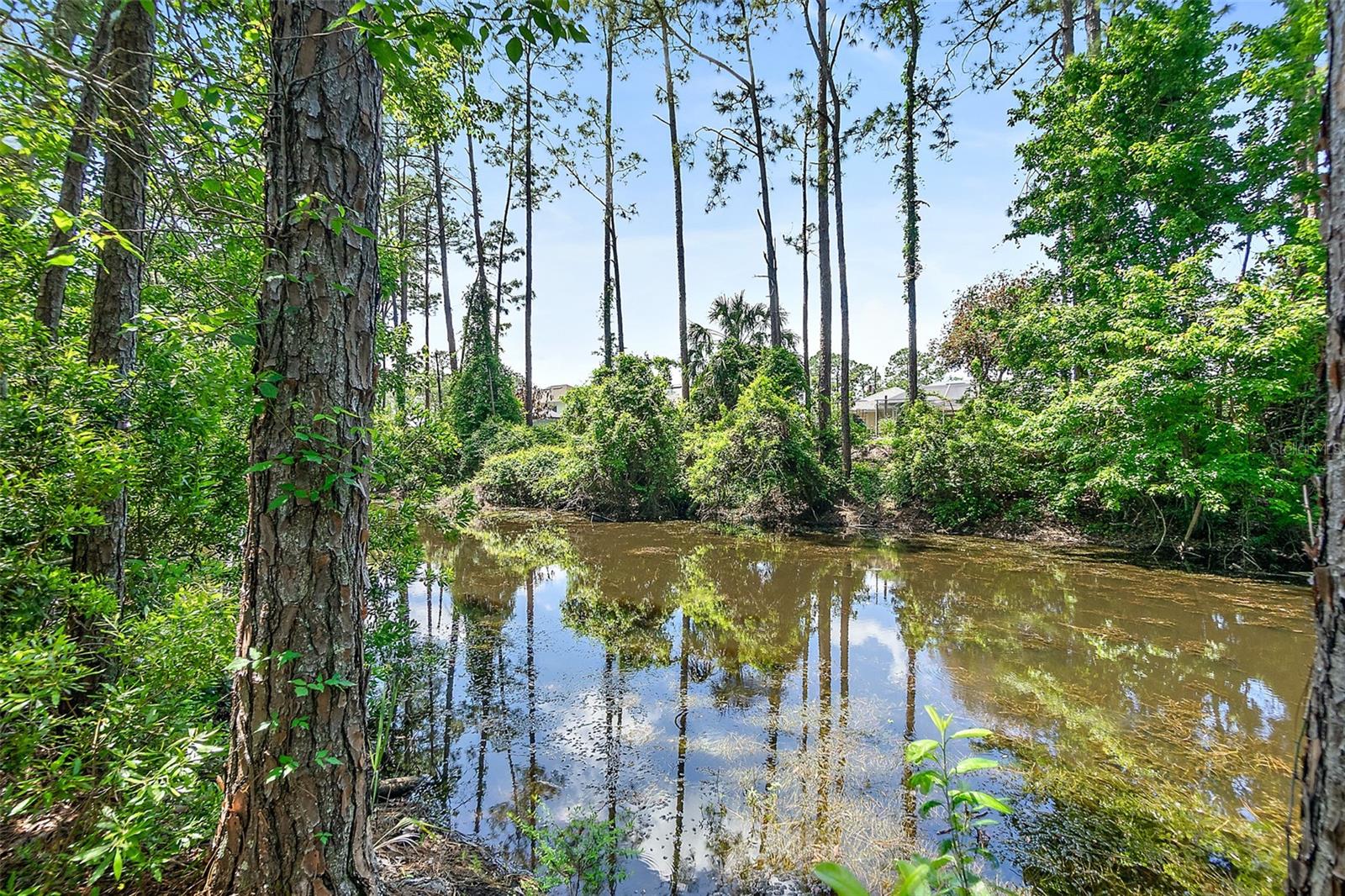 PALM COAST SEC 33 - Residential