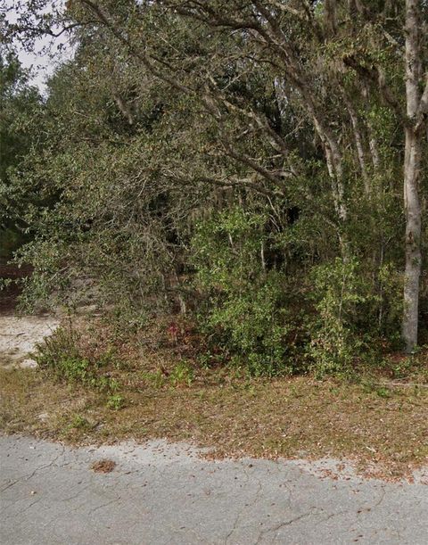 Tiny photo for Tbd Fisher Way Crse, Ocklawaha, FL 32179 (MLS # GC540268)