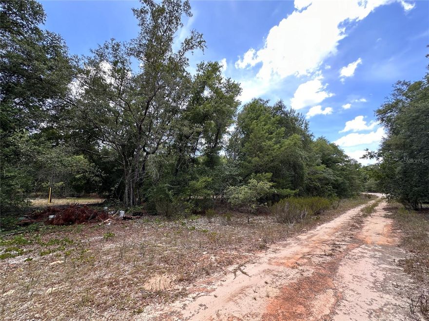 Secluded Wooded Lot in Hawthorne - Build Your Dream Home!
Discover the ultimate in peace and privacy with this unique .41-acre wooded lot in Hawthorne, FL. Nestled down an unmarked dirt road, this buildable lot is zoned for single-family homes, mobile homes, and modular homes.

Key Features:
Secluded Location: Enjoy the tranquility of a very private setting, surrounded by untouched nature.
Versatile Zoning: Perfect for building your dream single-family home, mobile home, or modular home.
Proximity to Nature: Near Camp Shands, which protects almost 600 acres of pristine land, offering a serene natural backdrop.
Unlimited Potential: Customize this lot to suit your vision and lifestyle.
Whether you're looking to create a secluded retreat or a permanent residence immersed in nature, this property offers endless possibilities. Embrace the peaceful surroundings and start envisioning your future home today!