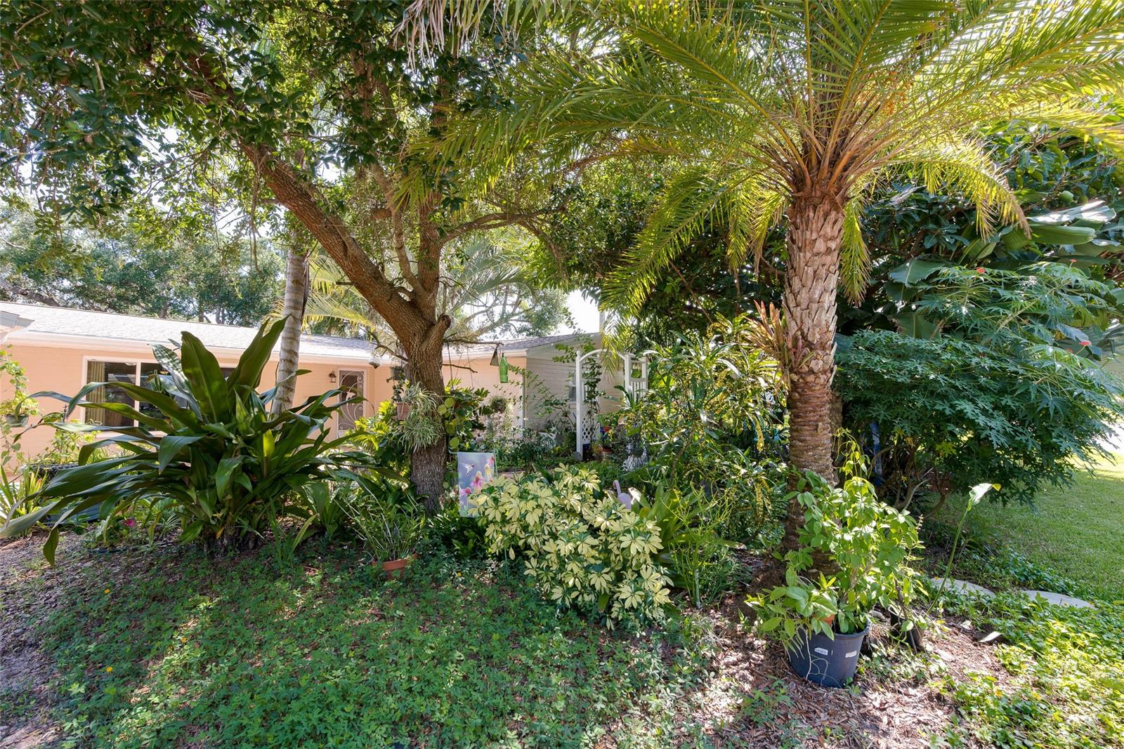 Shady Oaks - Residential