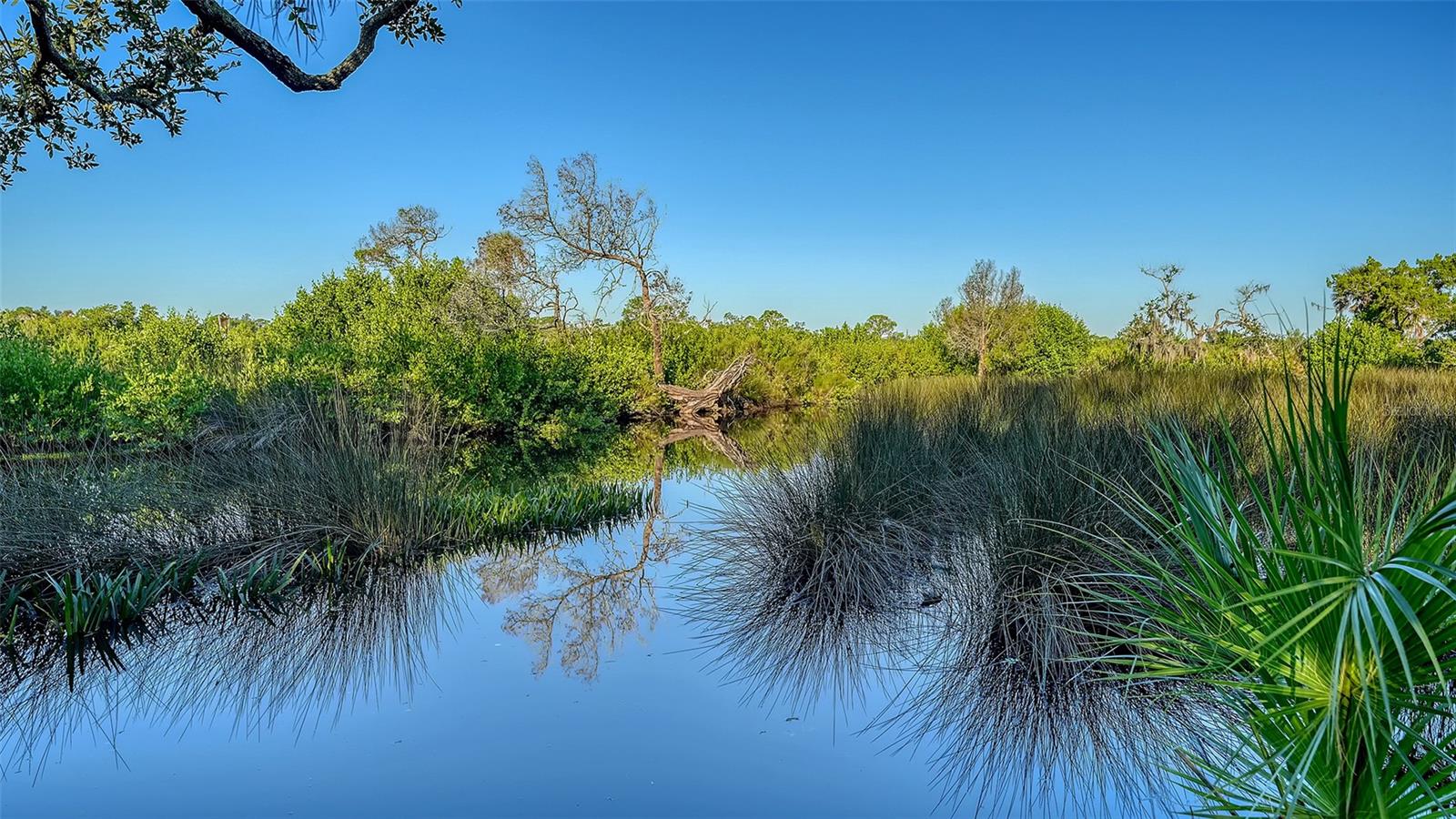 RIVER FOREST - Residential