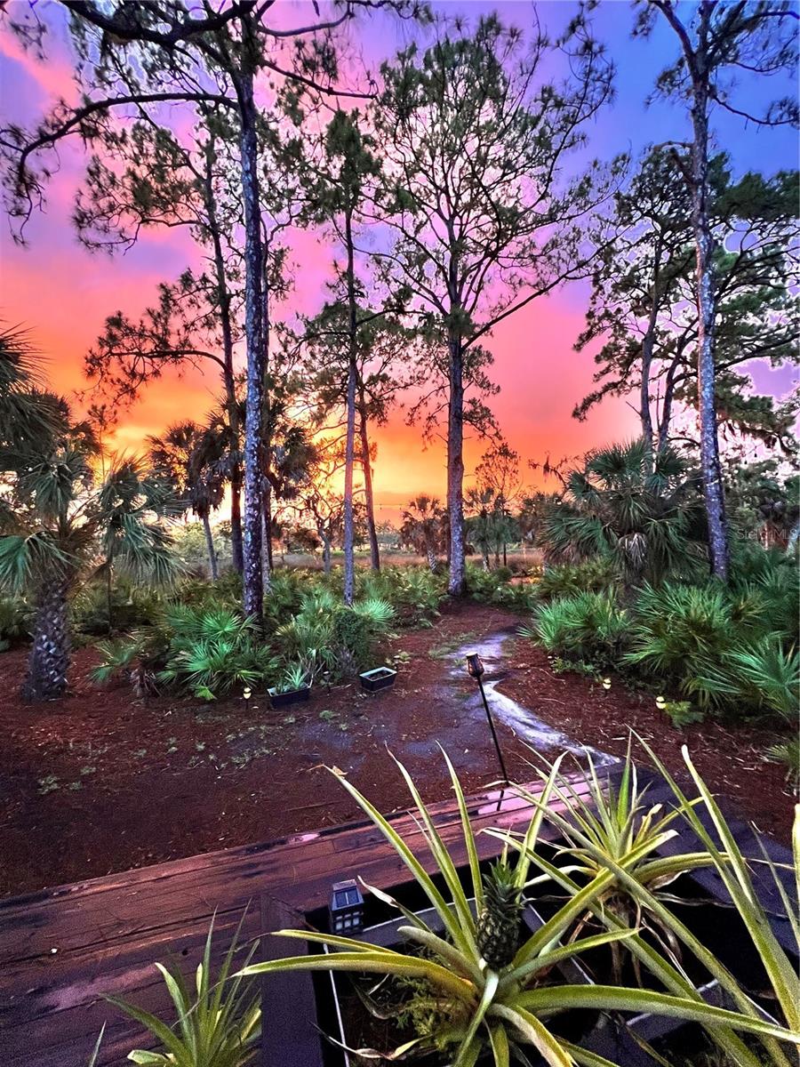 RIVER FOREST - Residential