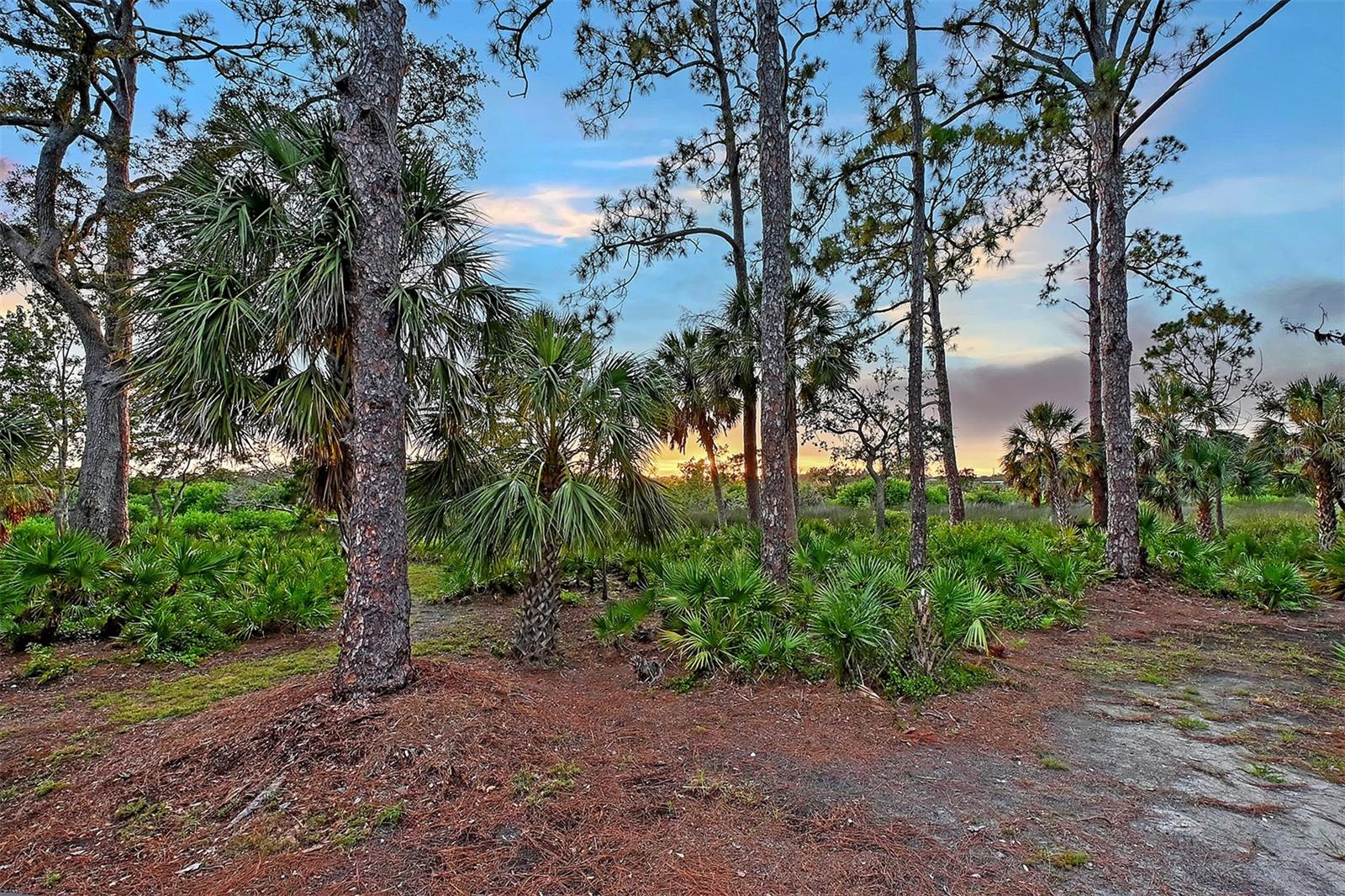 RIVER FOREST - Residential