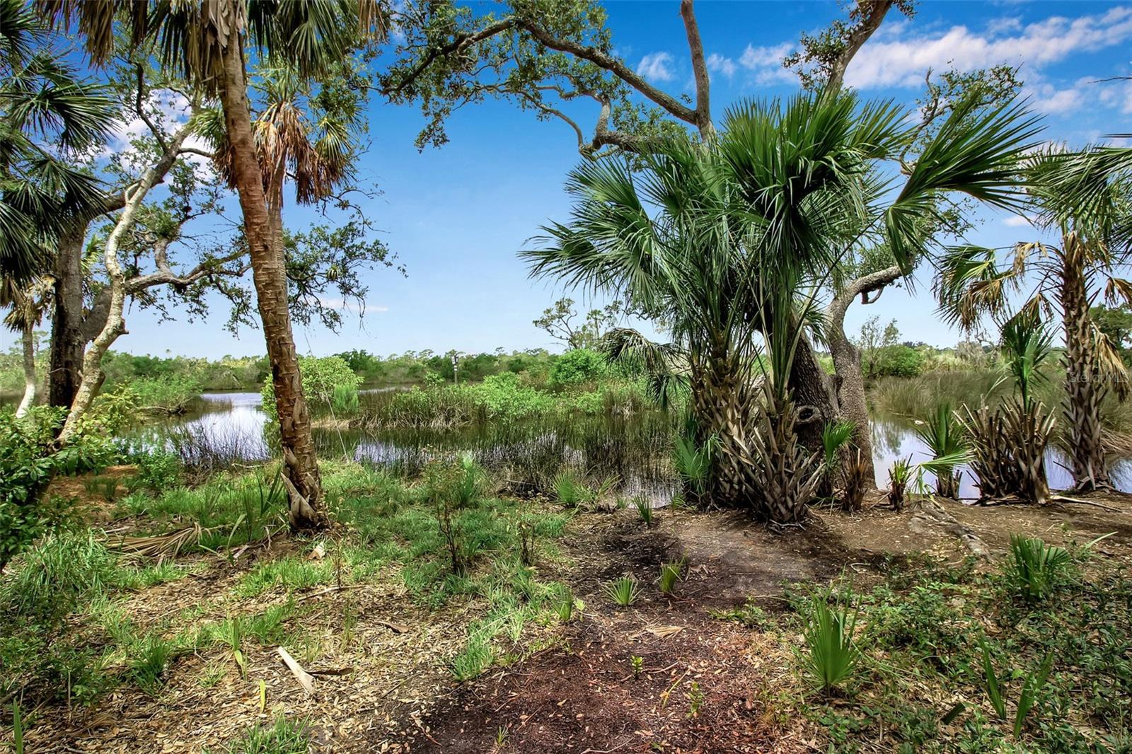 RIVER FOREST - Residential