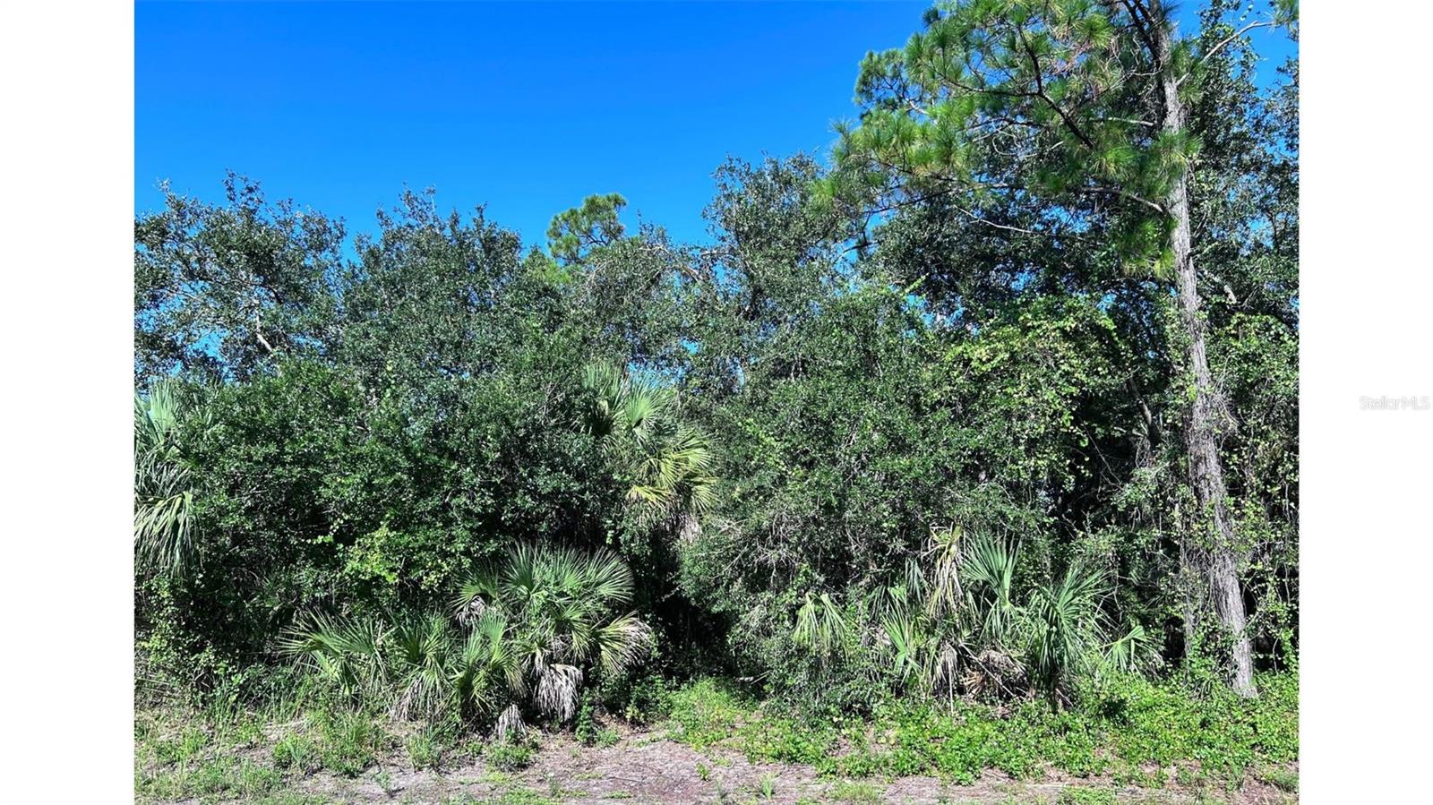 Ready to build your dream home? Looking to add to your investment portfolio? Conveniently located close US-41 and I-75, a short drive to shops, restaurants, parks and gulf coast beaches! Enjoy the Florida lifestyle with an abundance of outdoor activities, world class beaches, boating, golfing and more. The Port Charlotte Sports Park is less than a 10 min drive, where you can watch the Tampa Bay Rays Baseball team spring training!! No HOA, no CDD fees! Not in a flood zone! All offers must be submitted in writing.