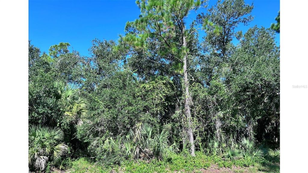 Photo of 323 Troutdale Street, Port Charlotte, FL 33954 (MLS # C7514521)