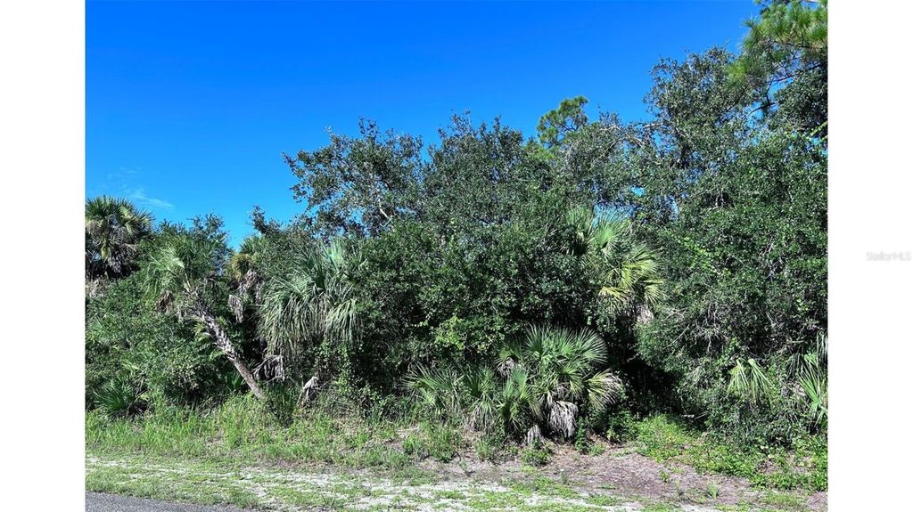 Photo of 323 Troutdale Street, Port Charlotte, FL 33954 (MLS # C7514521)