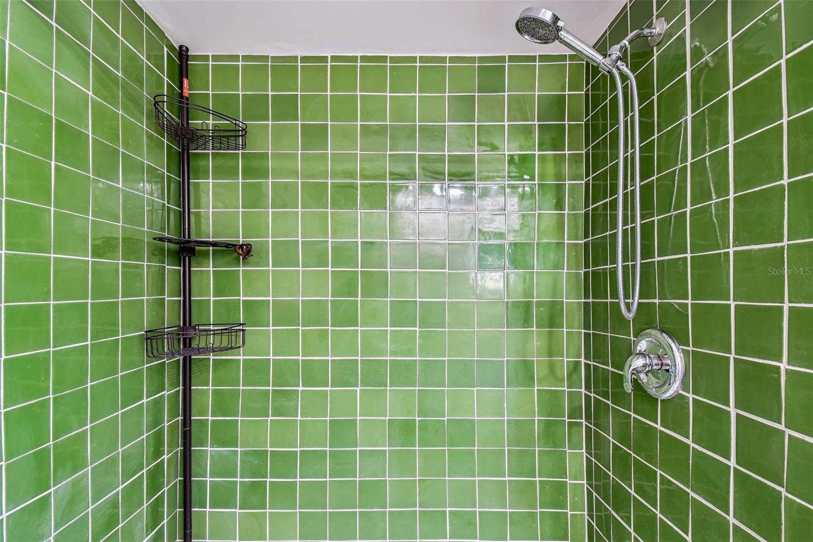 SOUTH PAULA POINT CONDO - Residential Lease