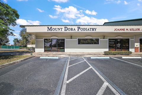 3651 LAKE CENTER DRIVE MOUNT DORA FL 32757