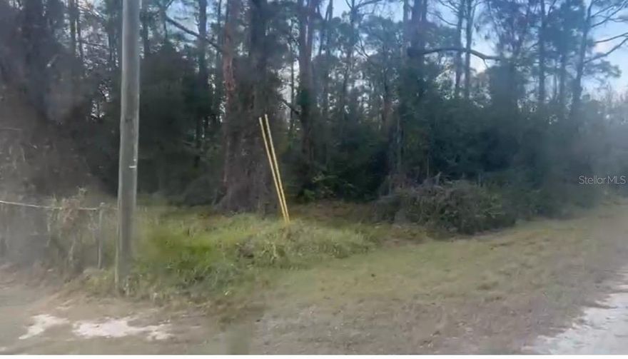 Discover the perfect opportunity to build your dream home on this beautiful 0.23-acre wooded lot nestled in a peaceful area of Lake Placid. Surrounded by natural greenery, this property offers privacy, tranquility, and the ideal setting for those seeking a relaxed Florida lifestyle.
Conveniently located just minutes from the sparkling waters of Lake June-in-Winter and Lake Istokpoga: Well known for boating, fishing, and outdoor recreation—this lot is a hidden gem for nature lovers and outdoor enthusiasts.
Enjoy easy access to charming local shops, dining, and everyday conveniences in downtown Lake Placid, while still being tucked away in a quiet residential setting. The area is also known for its scenic beauty, caladium farms, and welcoming community atmosphere.
Whether you’re looking to build now or invest for the future, this property offers great potential in a growing area of Central Florida.
Don’t miss your chance to own a slice of Florida’s natural beauty, your future starts here.

All information is provided in good faith and is believed to be accurate, but not guaranteed. Buyer to verify.