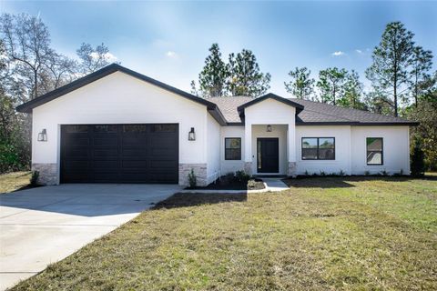 Photo of 11350 Sage Thrasher Avenue, Weeki Wachee, FL 34614 (MLS # TB8447910)