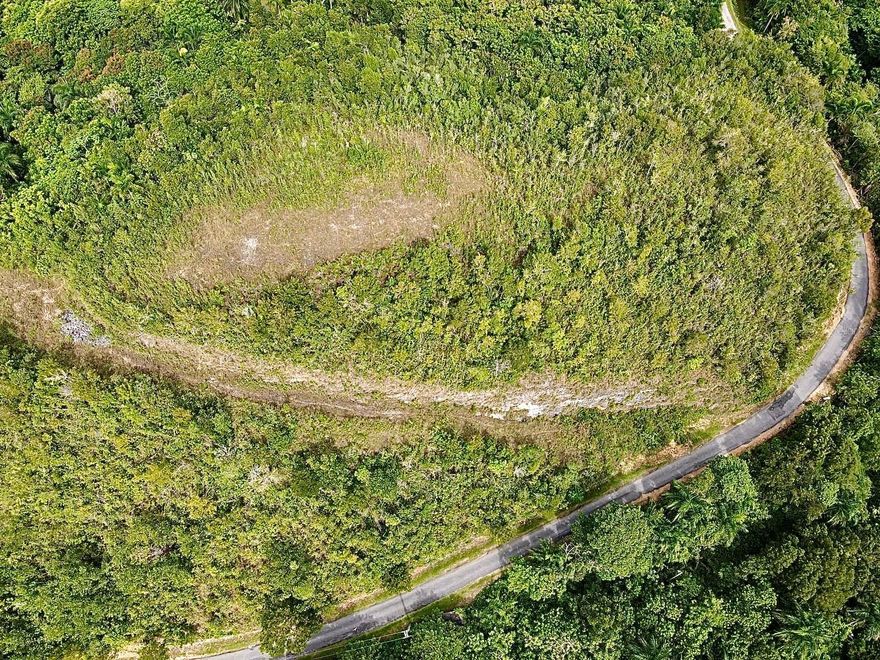 Spanning 24,375 square meters (6.202 cuerdas) with NC (No Calificado) zoning, this property in Isabela, Puerto Rico, offers exceptional versatility for farming, building, or investment. The land features a flattened area ready to build and fertile soil ideal for cultivating cacao, coffee, and tropical fruits or vegetables. A tear-down home on site provides existing water and electricity connections, giving you a valuable head start for any future development. Perfectly positioned just minutes from Lago Guajataca and Bosque Estatal de Guajataca, and only 30 minutes from Túnel de Guajataca, Merendero de Guajataca, and Pastillo Beach, this property combines peaceful countryside living with access to the area’s natural attractions. A rare opportunity to create your vision in one of Isabela’s most scenic and promising areas.