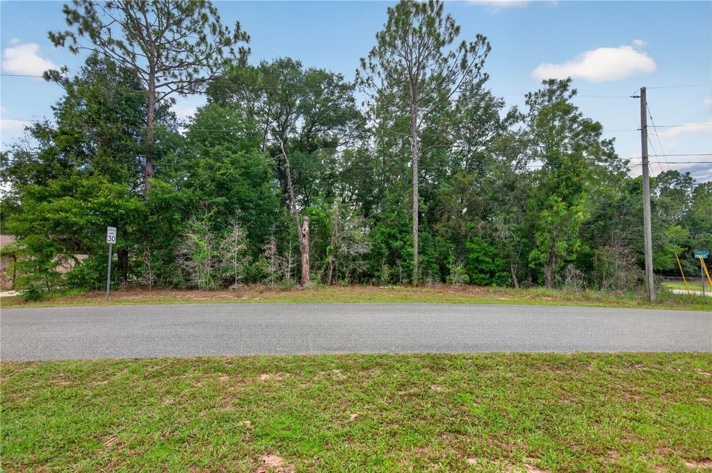 Photo of 5056 E Prentice Lane, Inverness, FL 34452 (MLS # TB8526187)