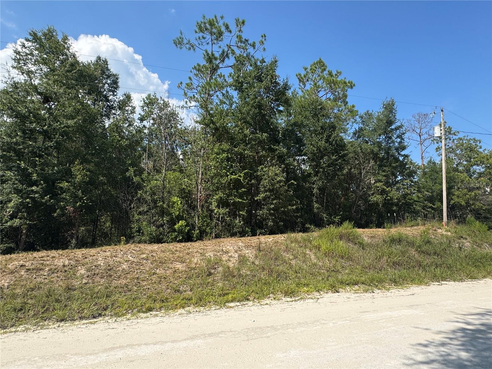 Wooded lot with high frontage in Three Rivers! One of the highest lots in the neighborhood. Close to the river, but high and dry and out of the flood zone. Three River Estates gives you access to nine parks with river access to the Santa Fe and Ichetucknee. Neighboring lot is also available! Come check it out today!