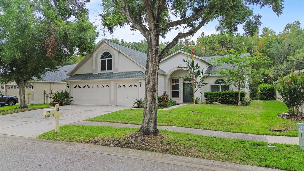 Photo of 10217 Timberland Point Drive, Tampa, FL 33647 (MLS # O6344803)