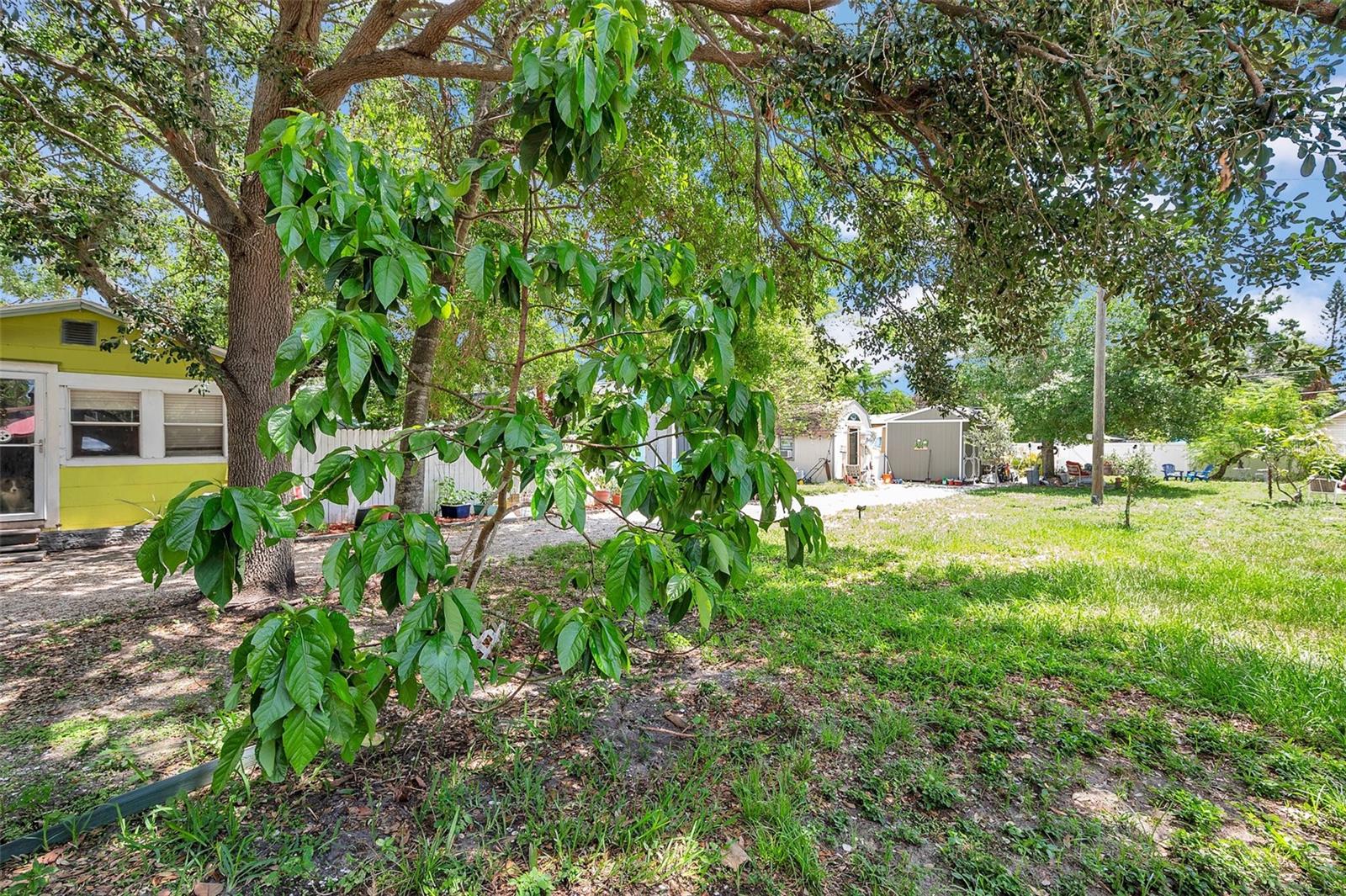 BOARDMAN & GOETZ GARDENS TRACTS - Residential Income