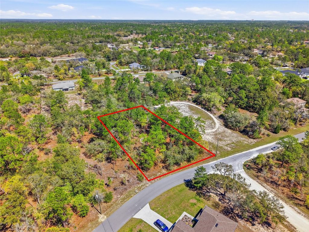 Photo of 11155 Marsh Wren Avenue, Weeki Wachee, FL 34614 (MLS # TB8489868)