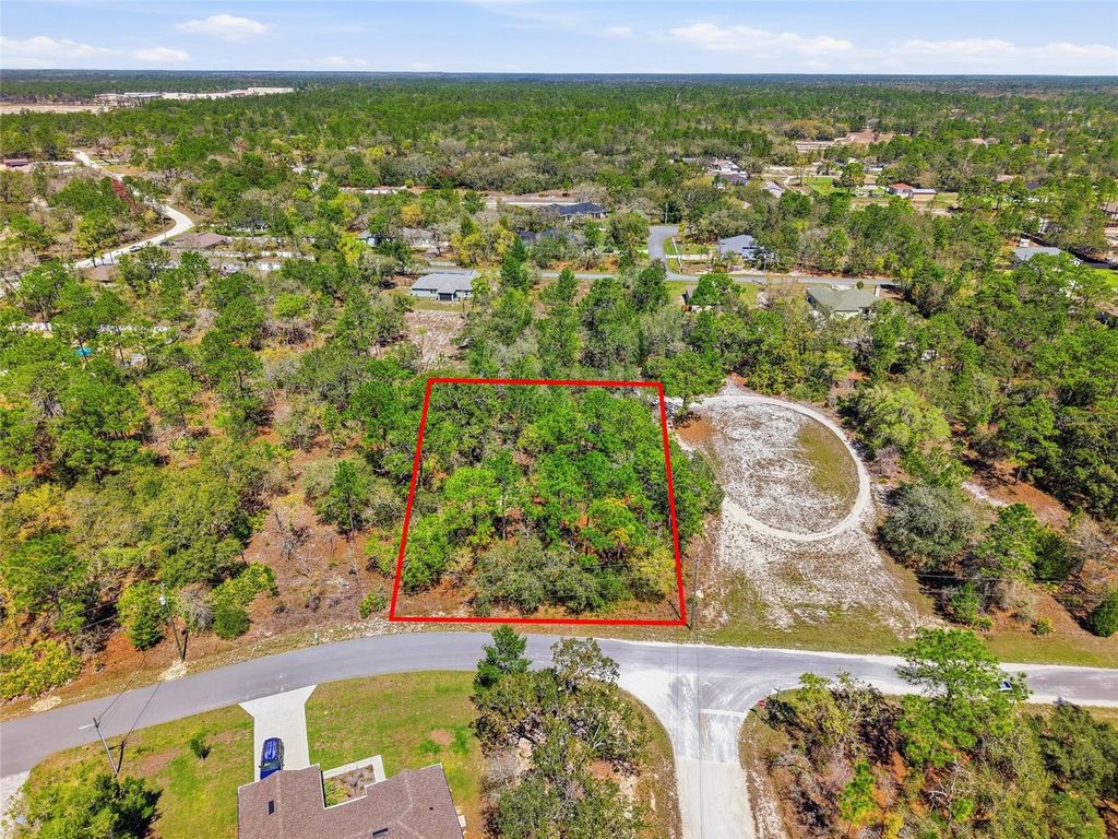 Photo of 11155 Marsh Wren Avenue, Weeki Wachee, FL 34614 (MLS # TB8489868)