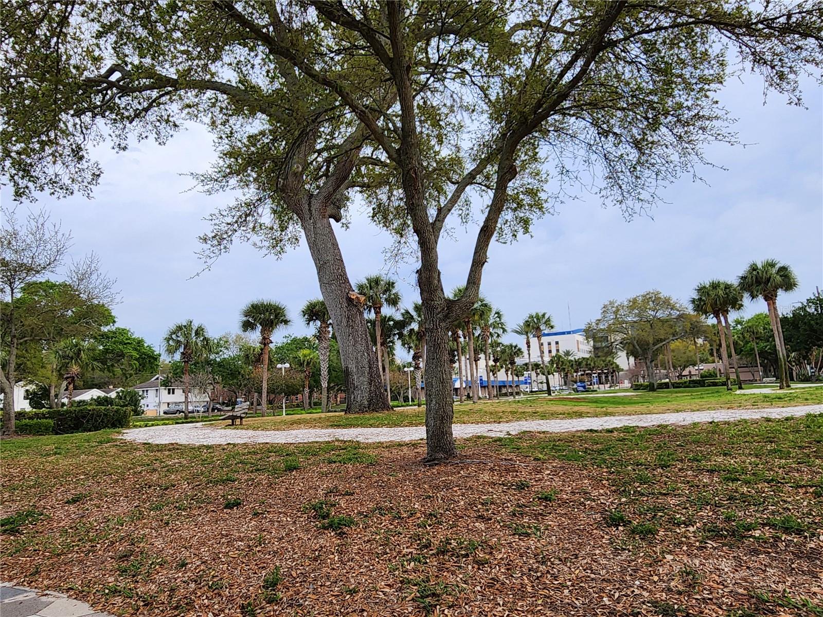 EDINA GARDEN OF EDEN - Commercial Sale