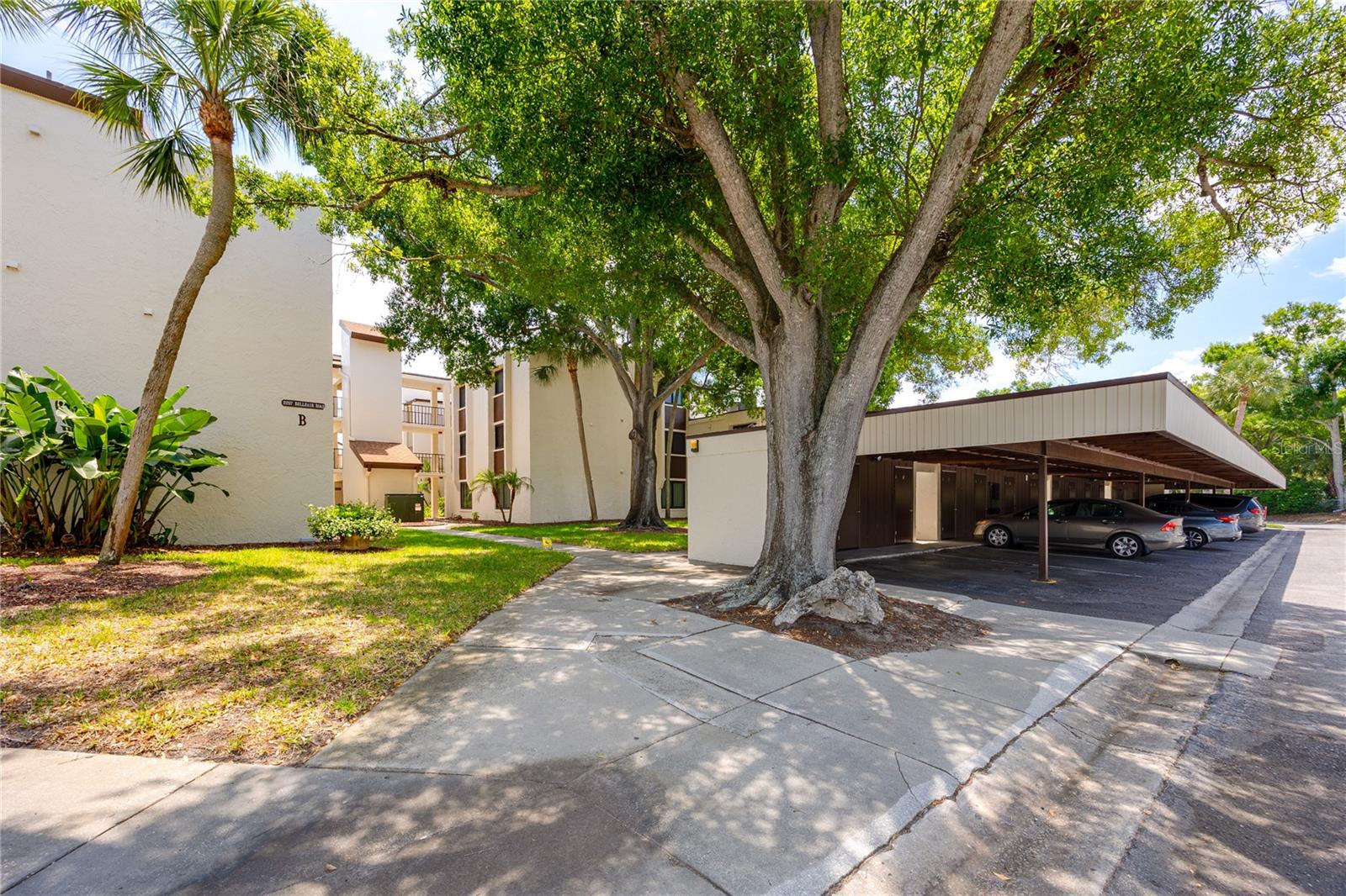 CHATEAU BELLEAIR CONDO - Residential