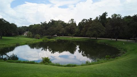 A home in VALRICO