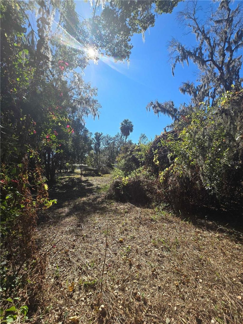 Photo of 2406 E Newsome Rd, Plant City, FL 33565 (MLS # TB8469462)