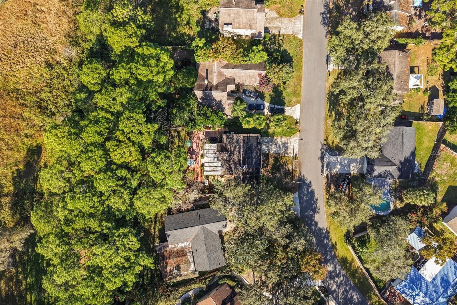 RAMBLEWOOD - Residential