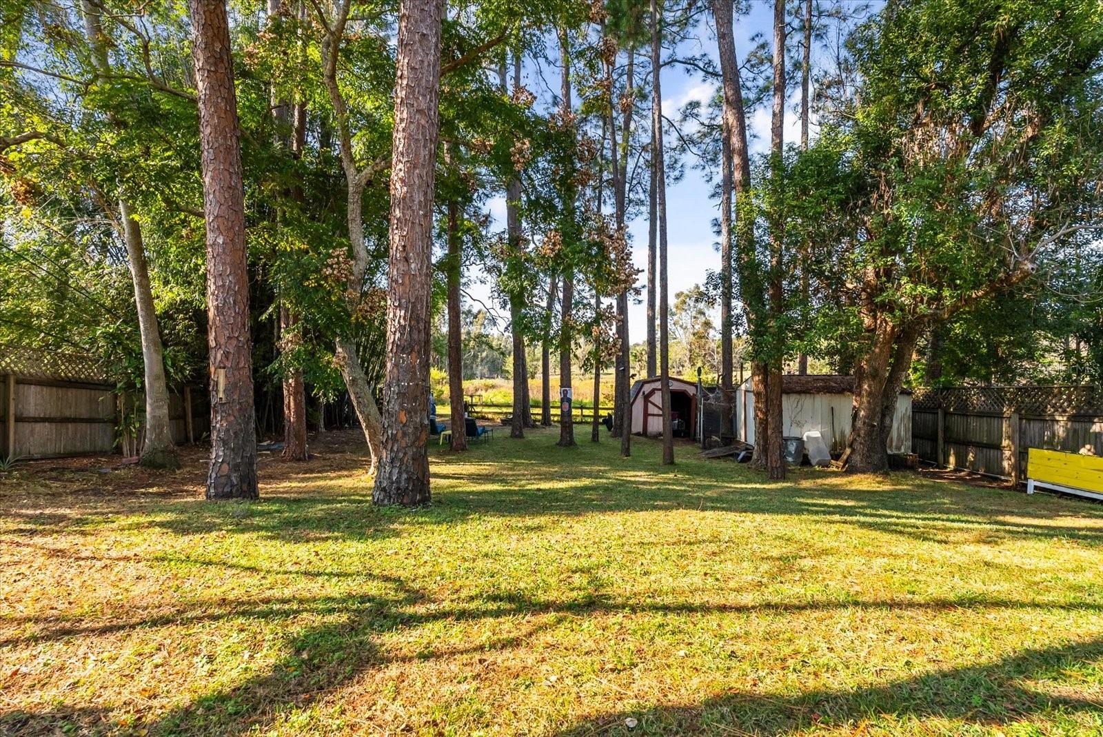 RAMBLEWOOD - Residential