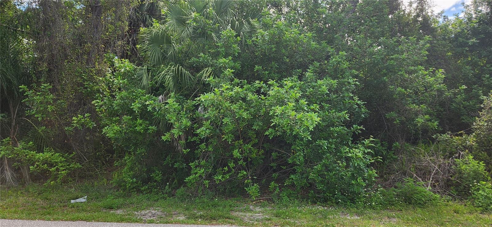 417 VERONA STREET - Photo 2