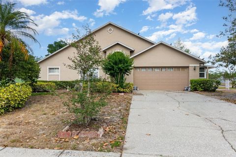 6019 LONG PEAK DRIVE ORLANDO FL 32810