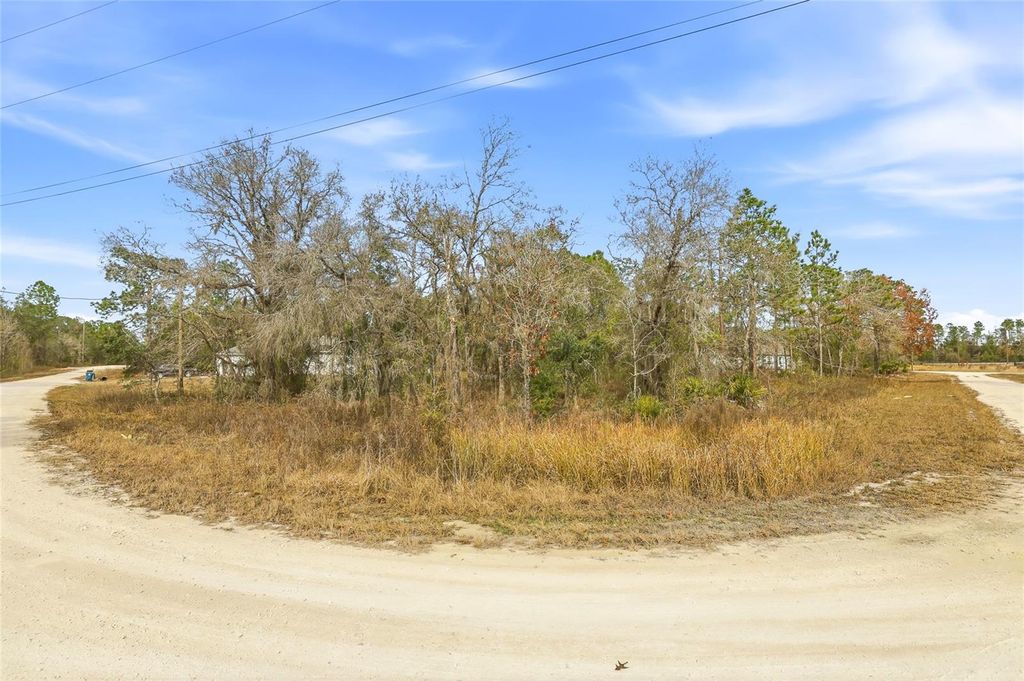 Photo of 16364 Cayman Road, Brooksville, FL 34614 (MLS # W7882960)