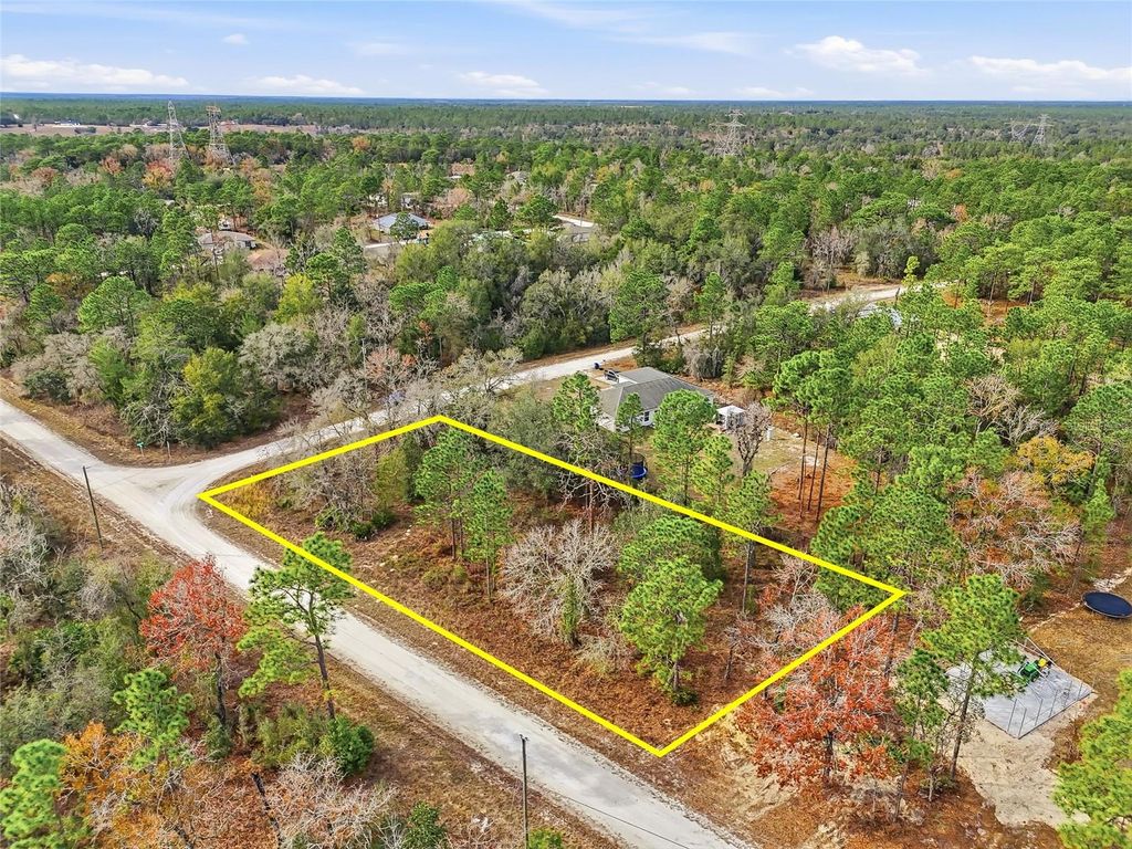 Photo of 16364 Cayman Road, Brooksville, FL 34614 (MLS # W7882960)