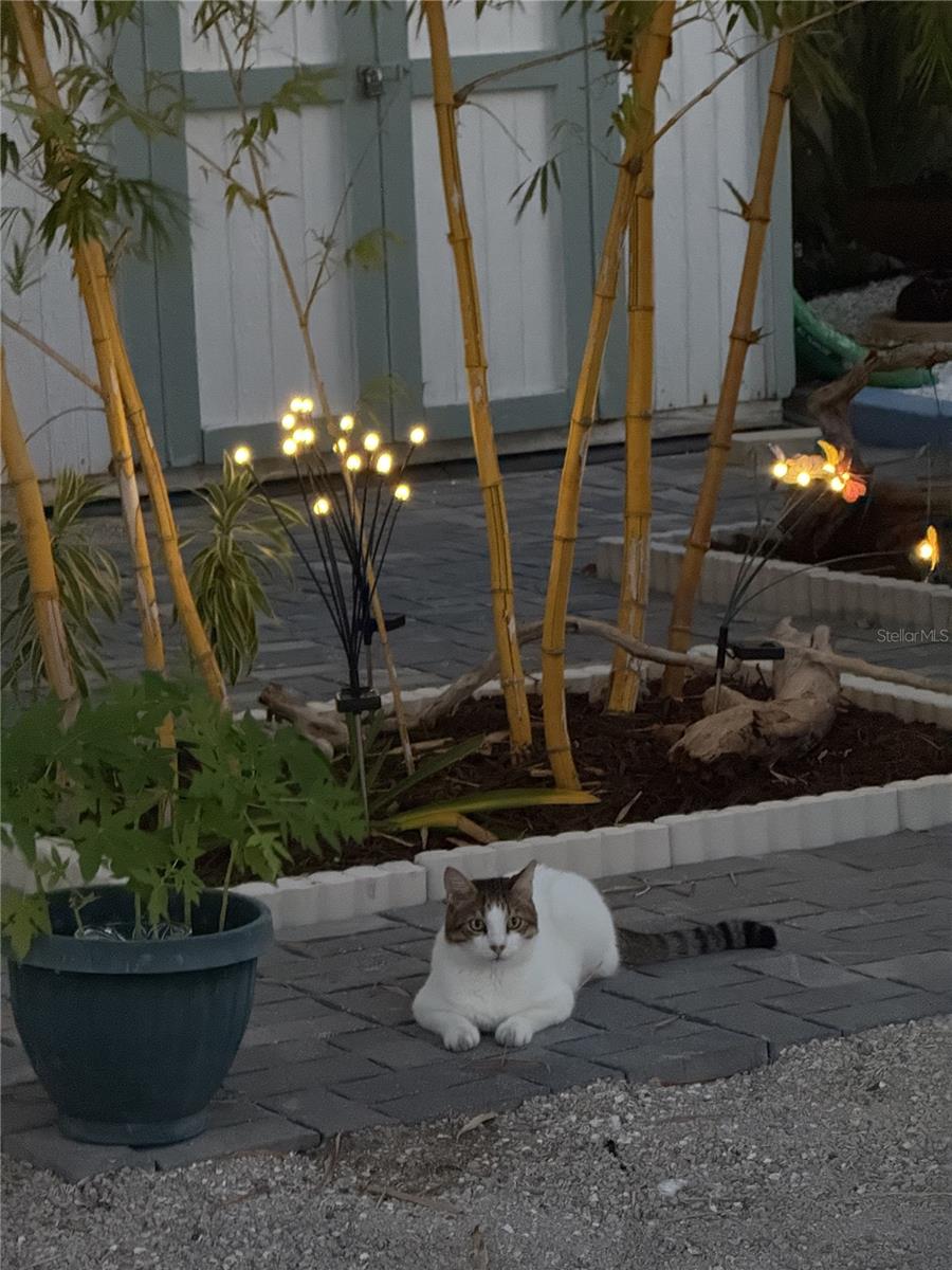 S J CHADWICKS - Residential