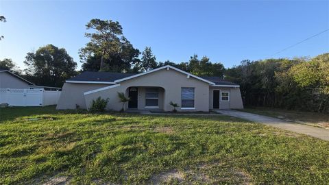 11259 ELGIN BOULEVARD SPRING HILL FL 34608