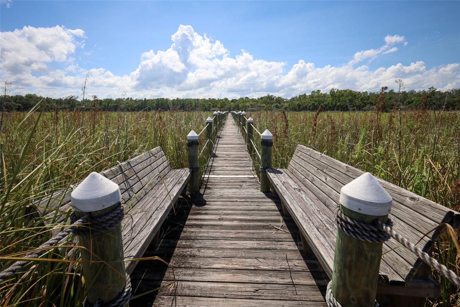 TOMOKA OAKS UN 07-B - Residential
