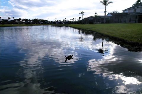 A home in KISSIMMEE