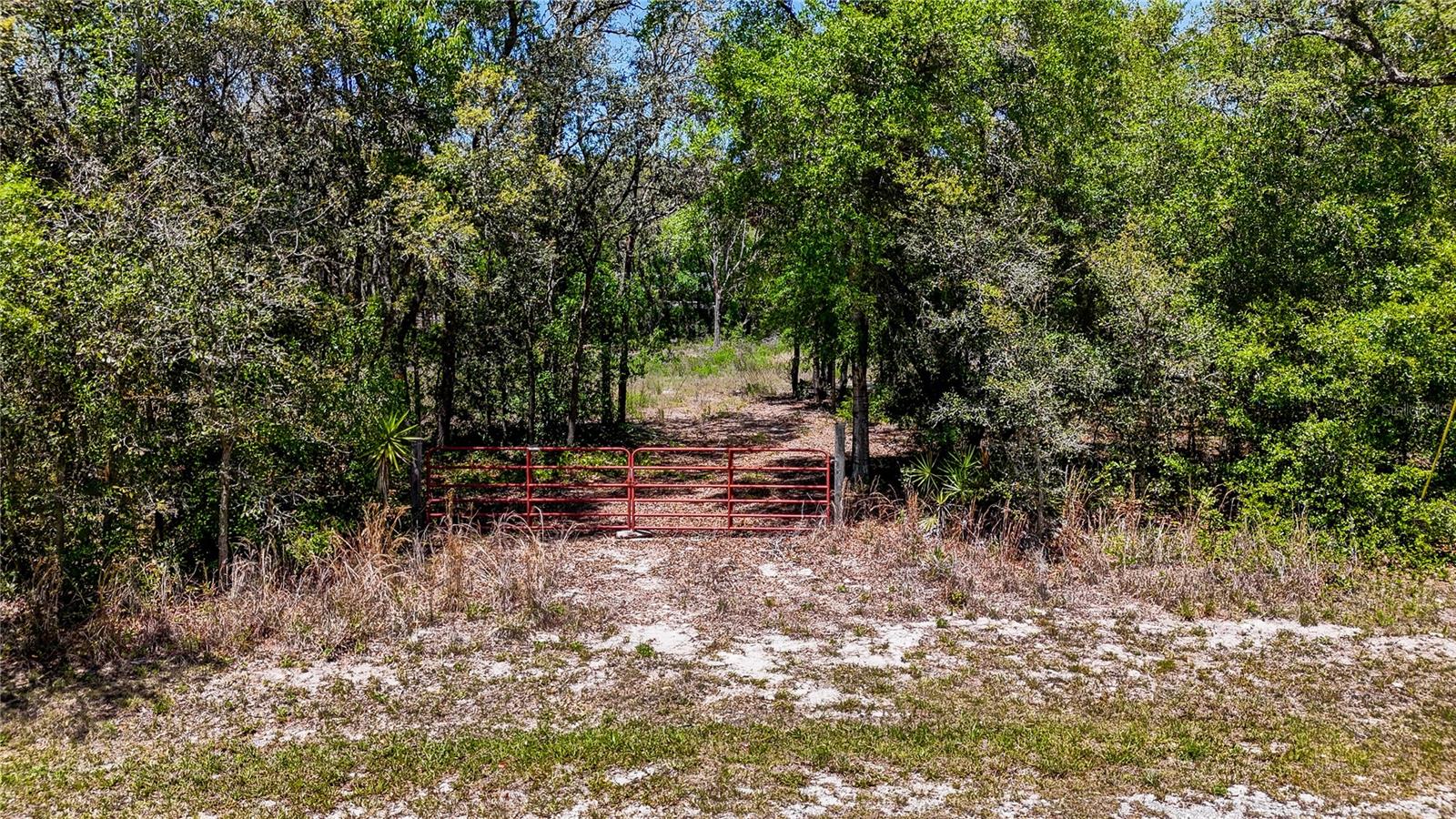 RIDGE MANOR ESTATE - Land