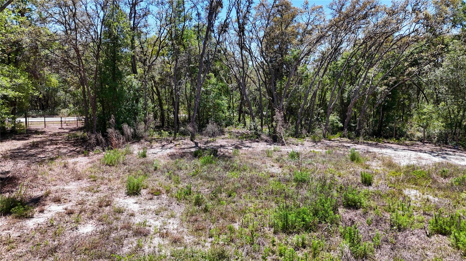 RIDGE MANOR ESTATE - Land