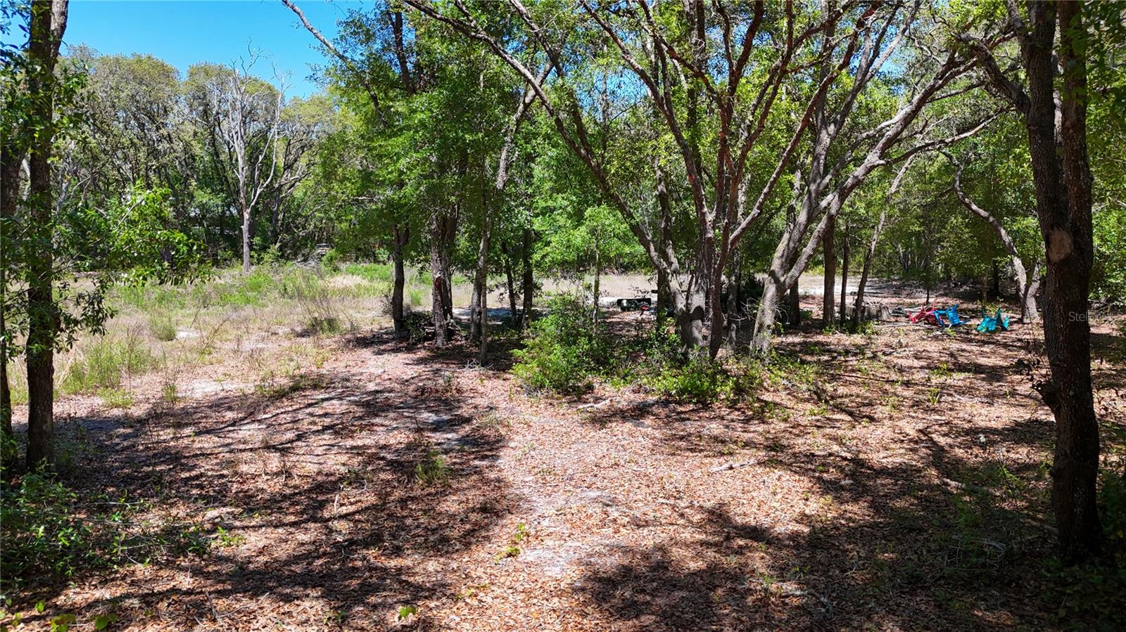 RIDGE MANOR ESTATE - Land