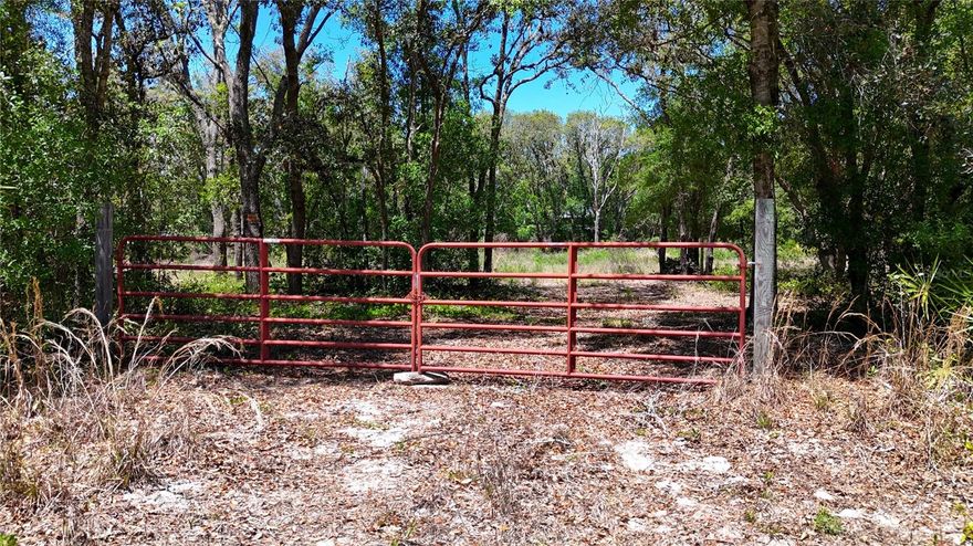Beautiful Vacant Lot in Ridge Manor Estates-Your Florida Dream Starts Here! Discover the perfect opportunity to build your dream home or invest in Florida real estate with this spacious 1.74 acre lot nestled in the peaceful and scenic Ridge Manor Estates community. This property offers a tranquil, rural atmosphere while still being conveniently close to shopping, dining, and major highways including I-75, and US-301.
Surrounded by lush natural beauty and Florida wildlife, this residential lot is zoned for single-family homes and offers plenty of space for your ideal floor plan, outdoor living area, or even a pool. With no HOA and no CDD fees, you'll enjoy the freedom to design a home that suits your lifestyle. Key Features: 1.74-acre lot in Ridge Manor Estates, zoned for residential single-family use, No HOA or CDD, easy access to I-75, SR-50, and nearby Brookville and Dade City, peaceful and natural surroundings with abundant wildlife. Don't miss your chance to own a slice of Florida paradise- contact us today to make this property your!