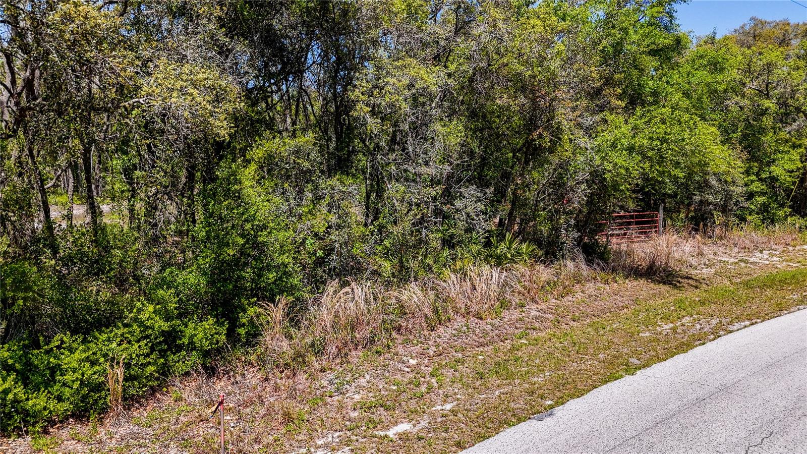 RIDGE MANOR ESTATE - Land