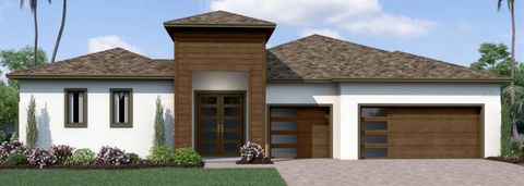 A home in WESLEY CHAPEL