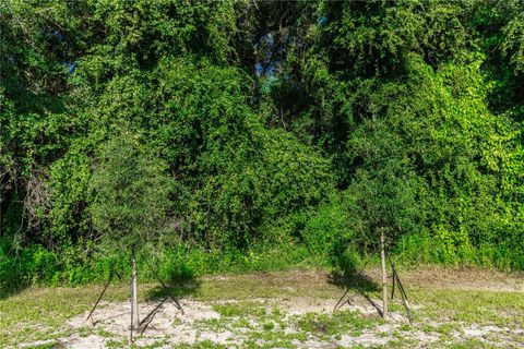 A home in DELAND